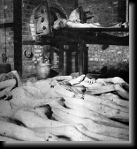 Cadavres du camp de Mathausen, en Autriche, * 321 x 350 * (27KB)